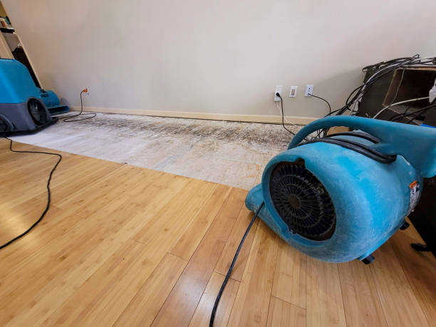 Professional Basement Flood Cleanup technician working in Hooper, WA